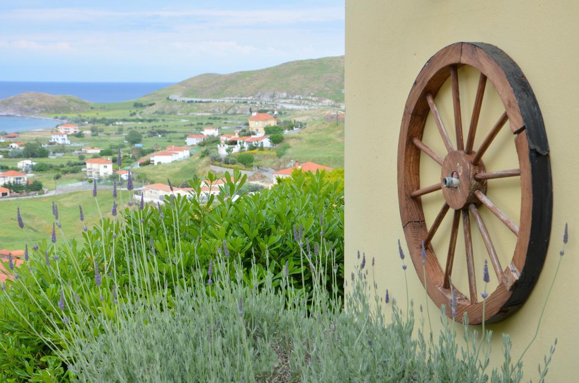Hotel Dina - Ξενοδοχείο Ντινα Plati  Eksteriør billede